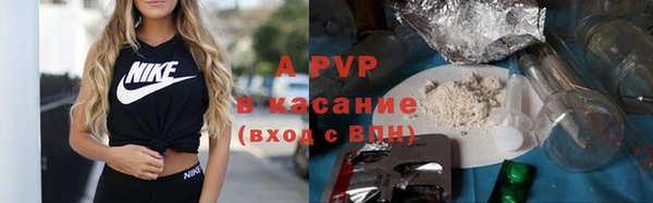 дурь Болотное