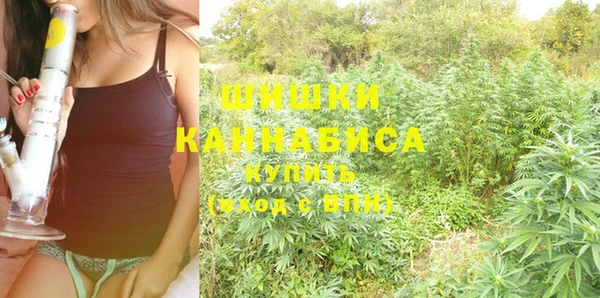 спиды Новодвинск