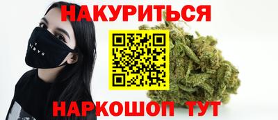 сатива Краснознаменск