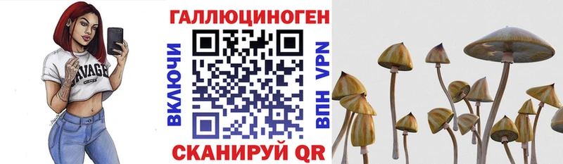 купить наркотик  Луга  Псилоцибиновые грибы мухоморы 
