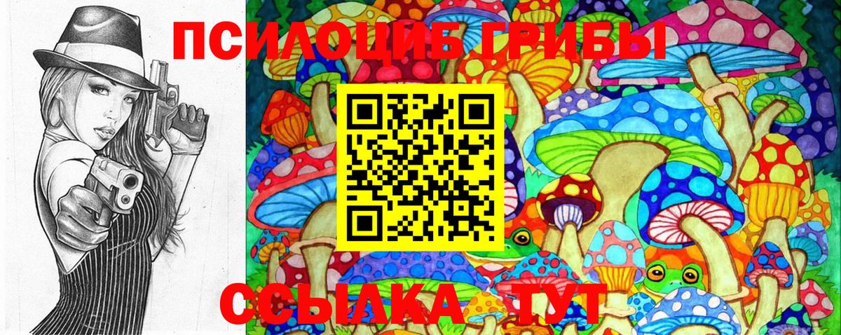 Галлюциногенные грибы Cubensis Луга