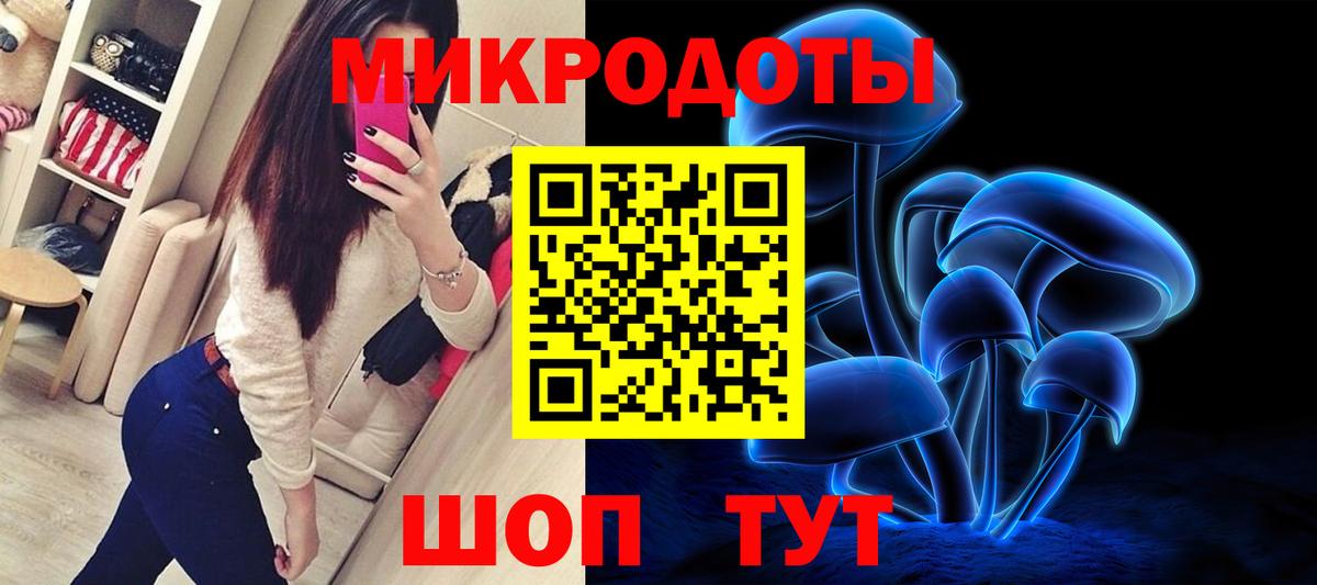 Псилоцибиновые грибы GOLDEN TEACHER  Вход с VPN  Луга  Галлюциногенные грибы мицелий 