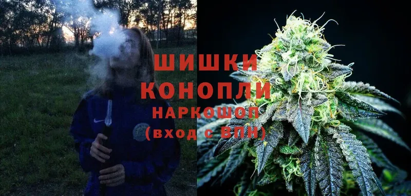 как найти закладки  Луга  Бошки Шишки OG Kush 